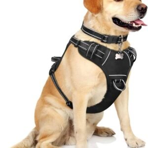 Reflective Adjustable Dog Harness