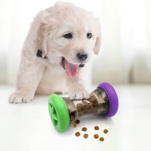 Treat Dispensing Interactive Toy
